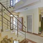 Collection O Ramjas Star Residency Near Appu Ghar