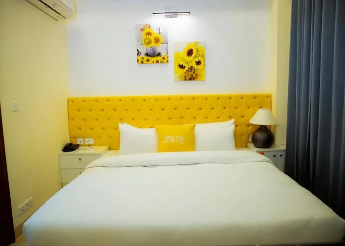 Lime Tree Luxury Studio - Service Apartment Near Artemis Hospital ,Gurgaon