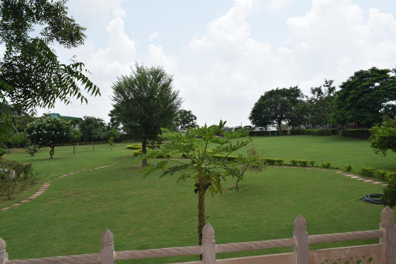 Aravali Hill View Estate Farm stay