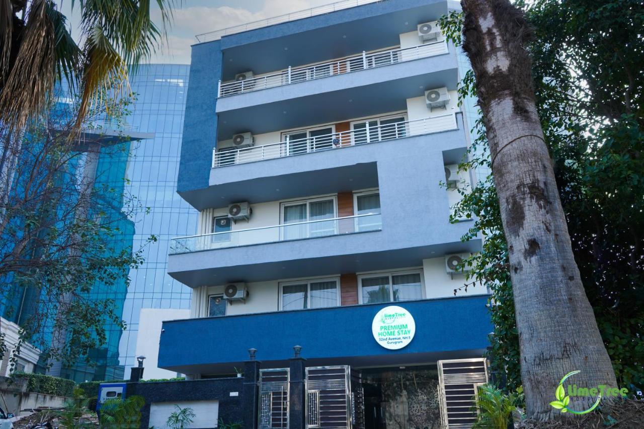 Hotel Lime Tree Near 32nd Avenue Sector 29