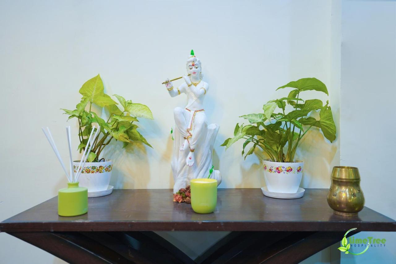 Lime Tree Near 32nd Avenue Sector 29 Hotel Gurgaon