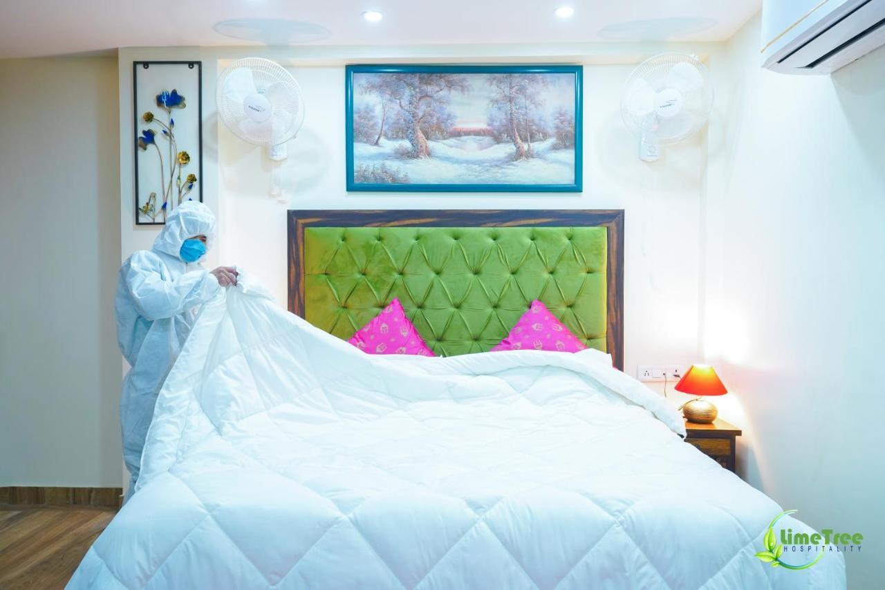 Lime Tree Near 32nd Avenue Sector 29 Gurgaon