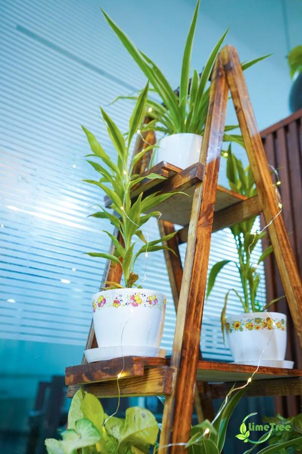 Lime Tree Near 32nd Avenue Sector 29 3* Gurgaon