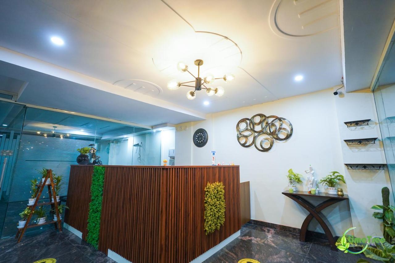 Lime Tree Near 32nd Avenue Sector 29 Gurgaon