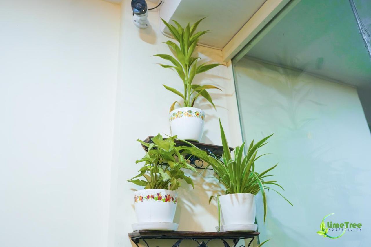 Lime Tree Near 32nd Avenue Sector 29 Hotel 3*