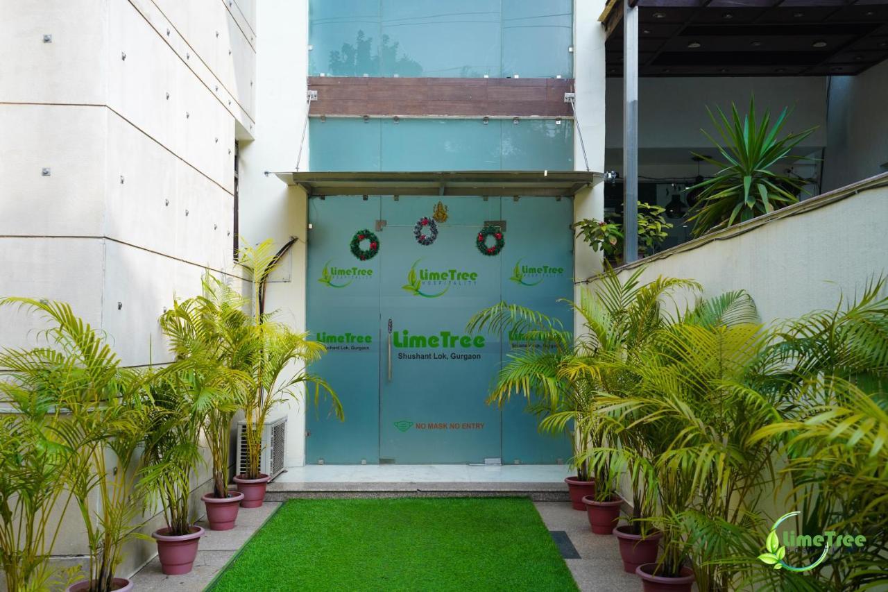 Lime Tree Sushant Lok Sector 29 Next To Iffco Chowk Metro Hotel