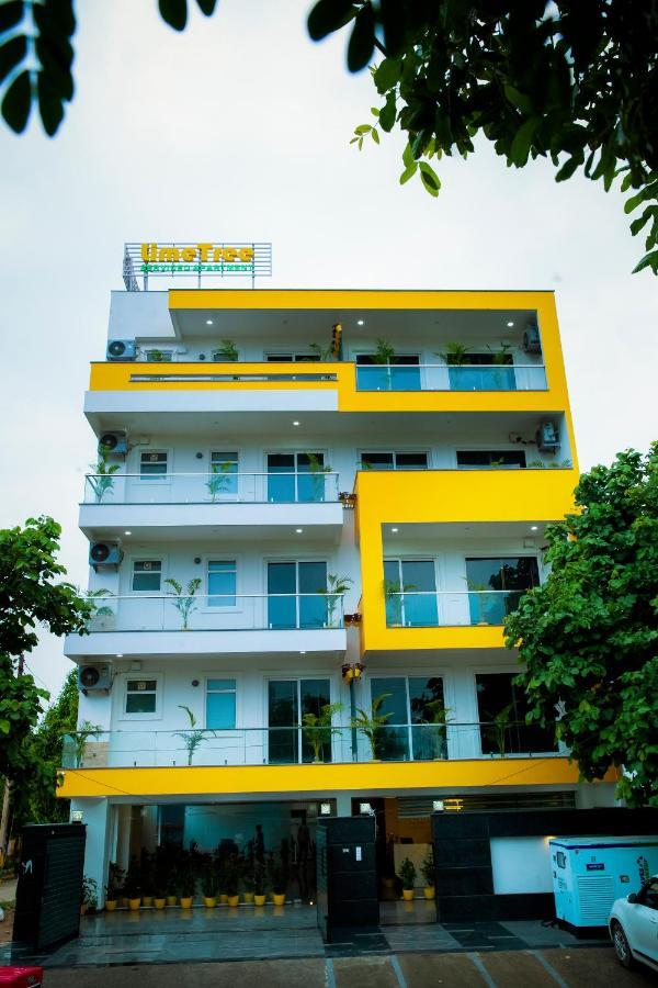 Apartment Luxury Studio Service Lime Tree -near Artemis Hospital, Sector - 51 Gurgaon