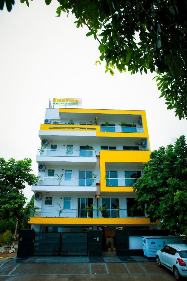 Luxury Studio Service Lime Tree -near Artemis Hospital, Sector - 51 * Gurgaon