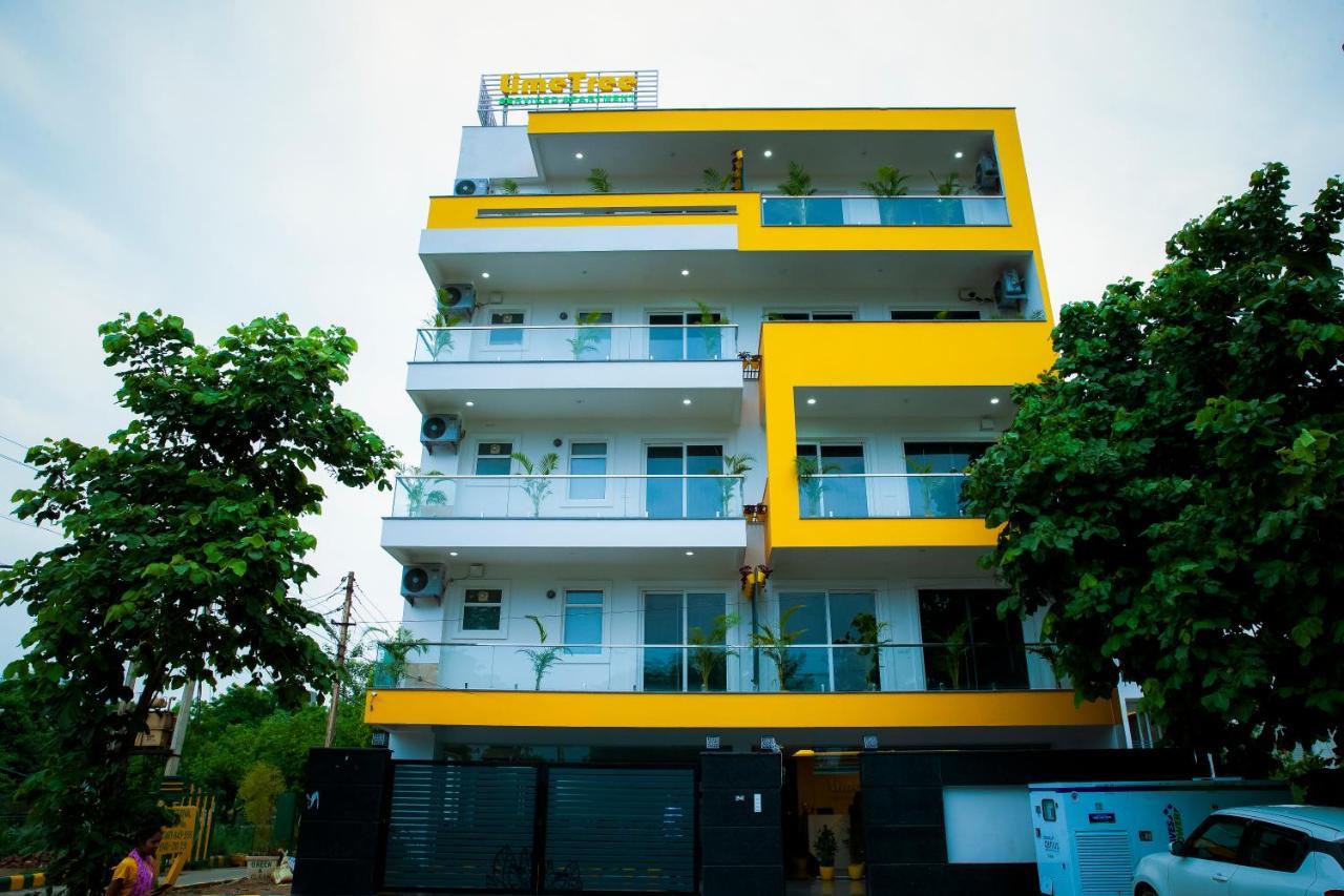 Luxury Studio Service Lime Tree -near Artemis Hospital, Sector - 51 Gurgaon