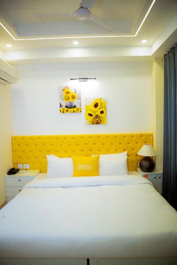 Apartment Luxury Studio Service Lime Tree -near Artemis Hospital, Sector - 51 Gurgaon