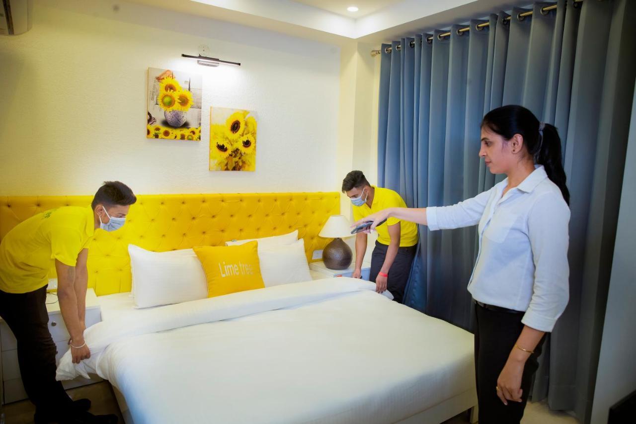 Apartment Luxury Studio Service Lime Tree -near Artemis Hospital, Sector - 51 Gurgaon