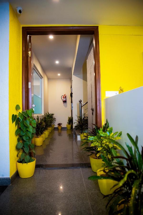 Luxury Studio Service Lime Tree -near Artemis Hospital, Sector - 51 Apartment Gurgaon
