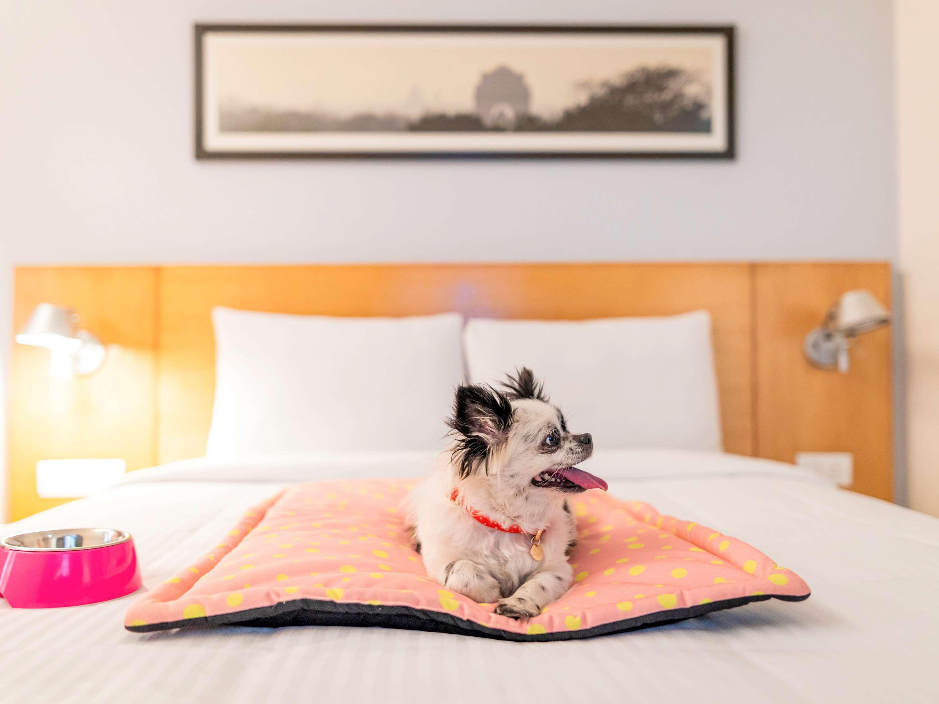 Ibis Golf Course Road - An Accor Brand Hotel
