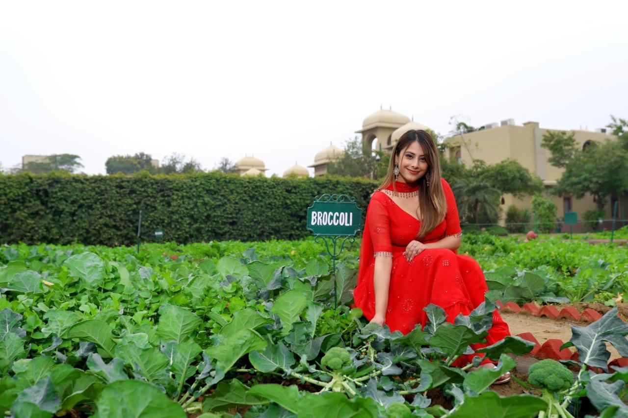 Resort Heritage Village & Manesar-gurgaon Gurgaon