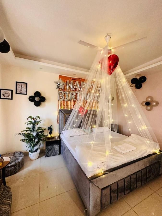 Cozy 1 Bhk Apartment