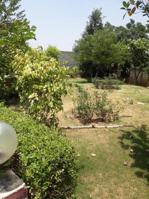 Achal Farm जंगल में मंगल