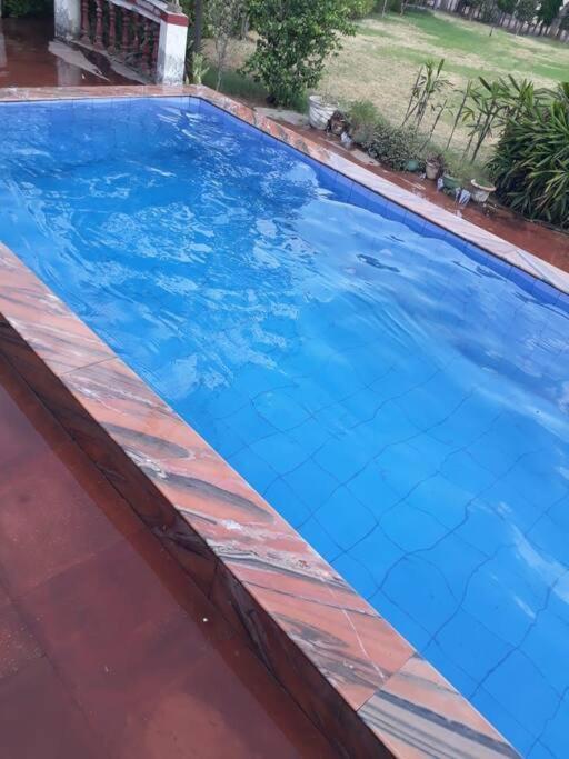 Achal Farm जंगल में मंगल *