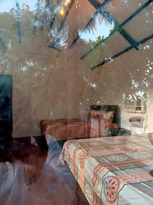 Achal Farm जंगल में मंगल * Gurgaon