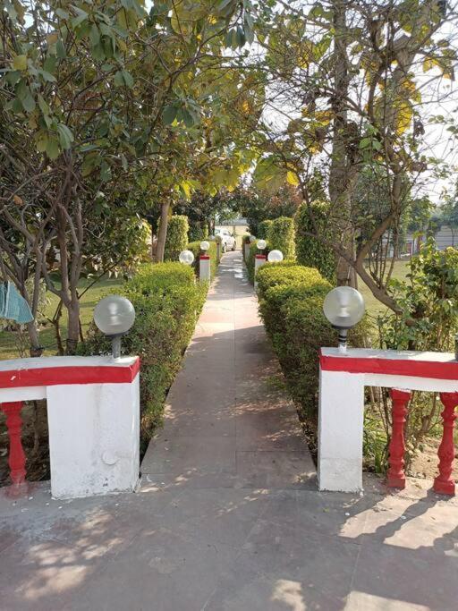 Achal Farm जंगल में मंगल * Gurgaon
