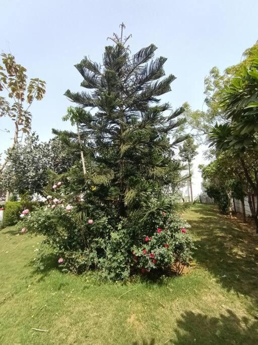 Villa Achal Farm जंगल में मंगल *