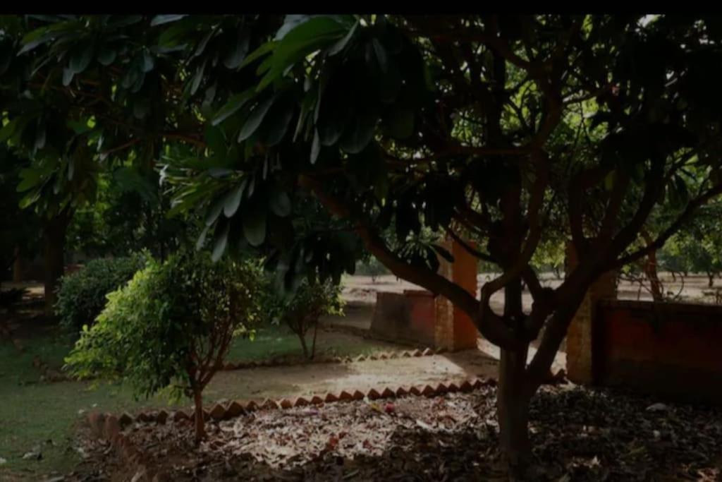 Villa Bnbbuddy 2 Bhk Aravalli Hills View In Gurugram