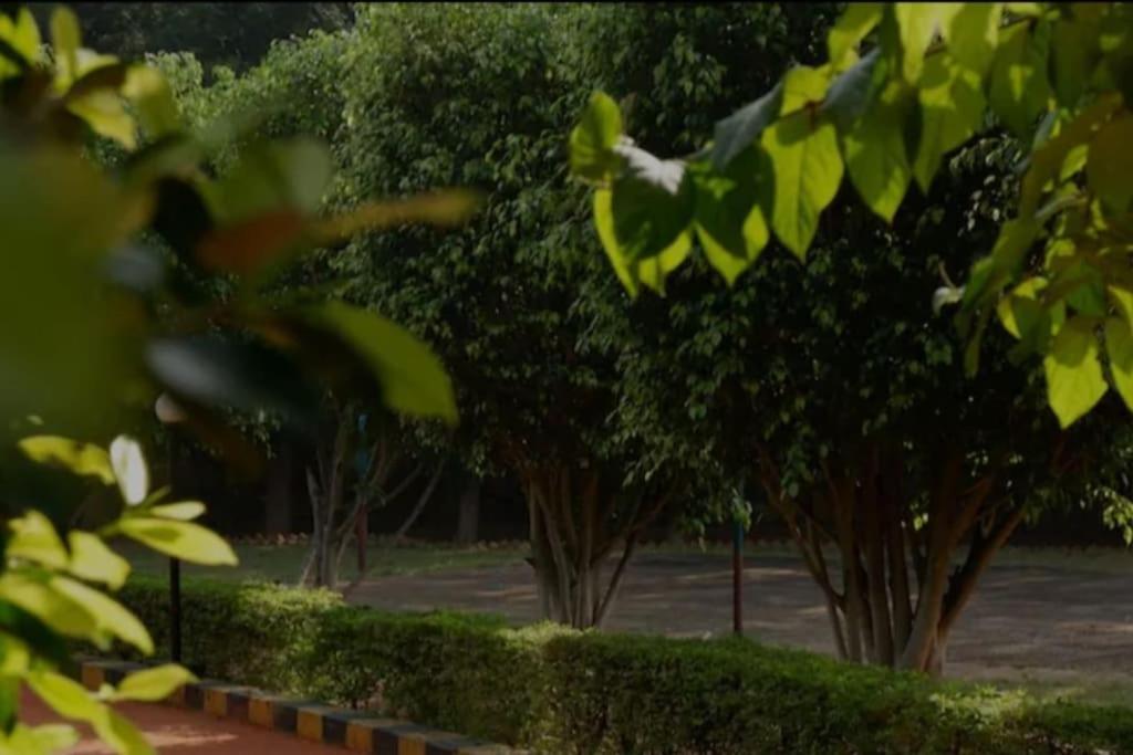 Bnbbuddy 2 Bhk Aravalli Hills View In Gurugram