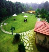 The Woods 3*
