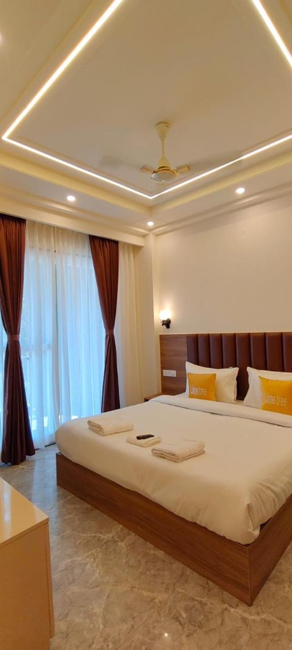Lime Tree 1bhk Service Near Artemis, Sector 52 Apartment