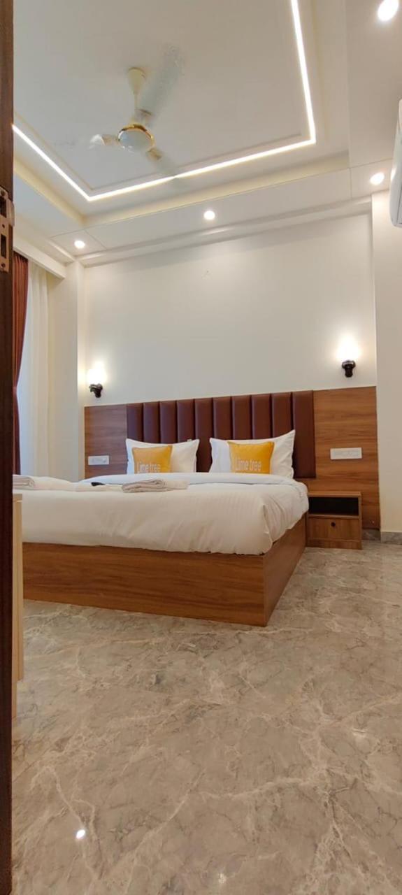 Apartment Lime Tree 1bhk Service Near Artemis, Sector 52