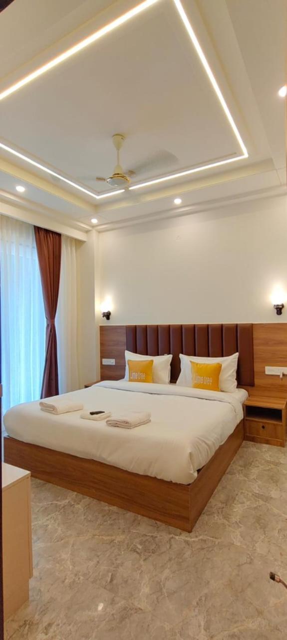 Lime Tree 1bhk Service Near Artemis, Sector 52 *