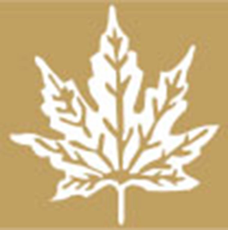 Hotel The Maple Leaf @ Dlf Cyber Gurgaon