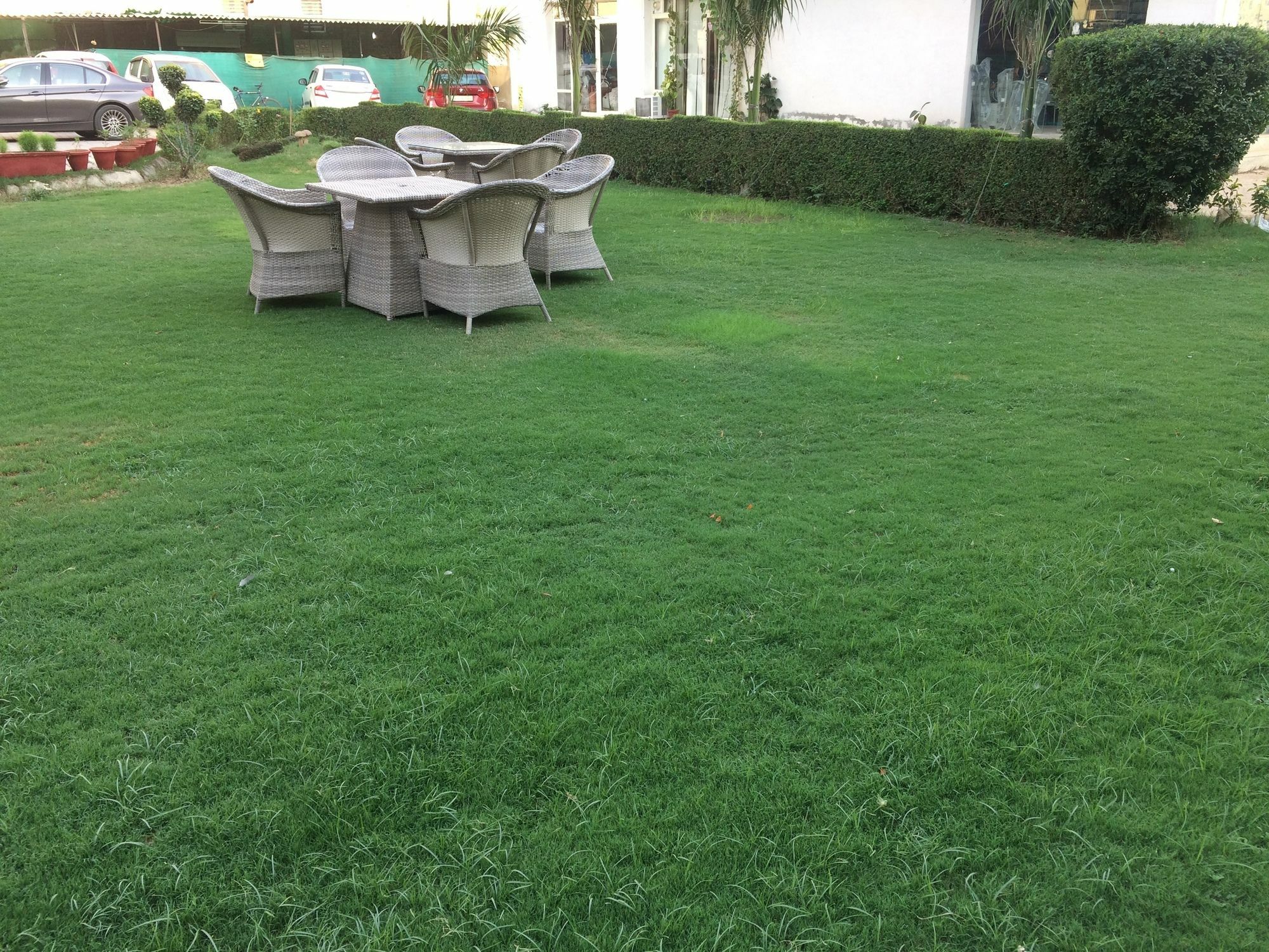 D's Mezbaan 2*