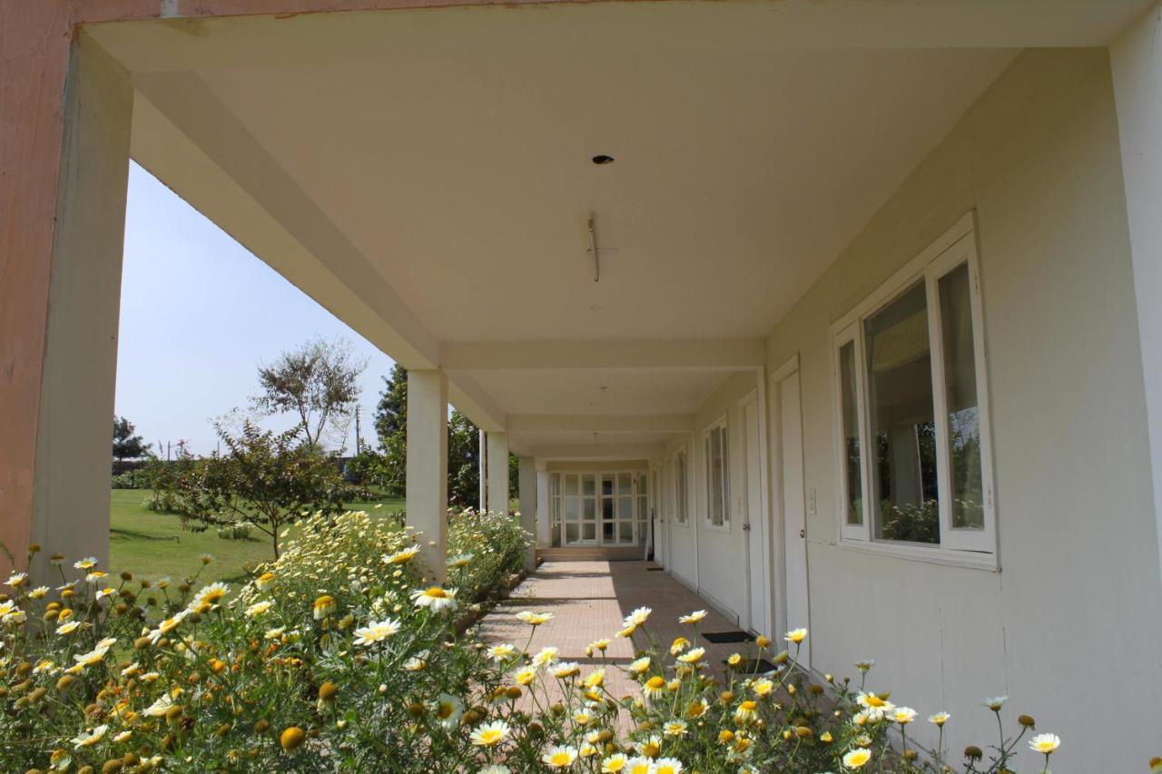 Aravali Hill View Estate Farm stay *