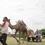 Madhavgarh Farm & Resort