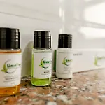 Lime Tree Studio Near Fortis Gurgaon