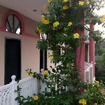 Sai Maharaja Farms