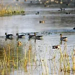 Bird Sanctuary Tourist Resort
