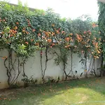Cinnamon Homestay, Off Sohna Road