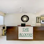 Treebo Trend Blooms Premium