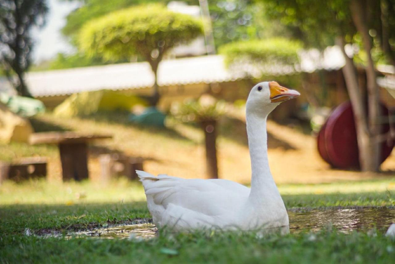 Resort Greenwoods Farm And