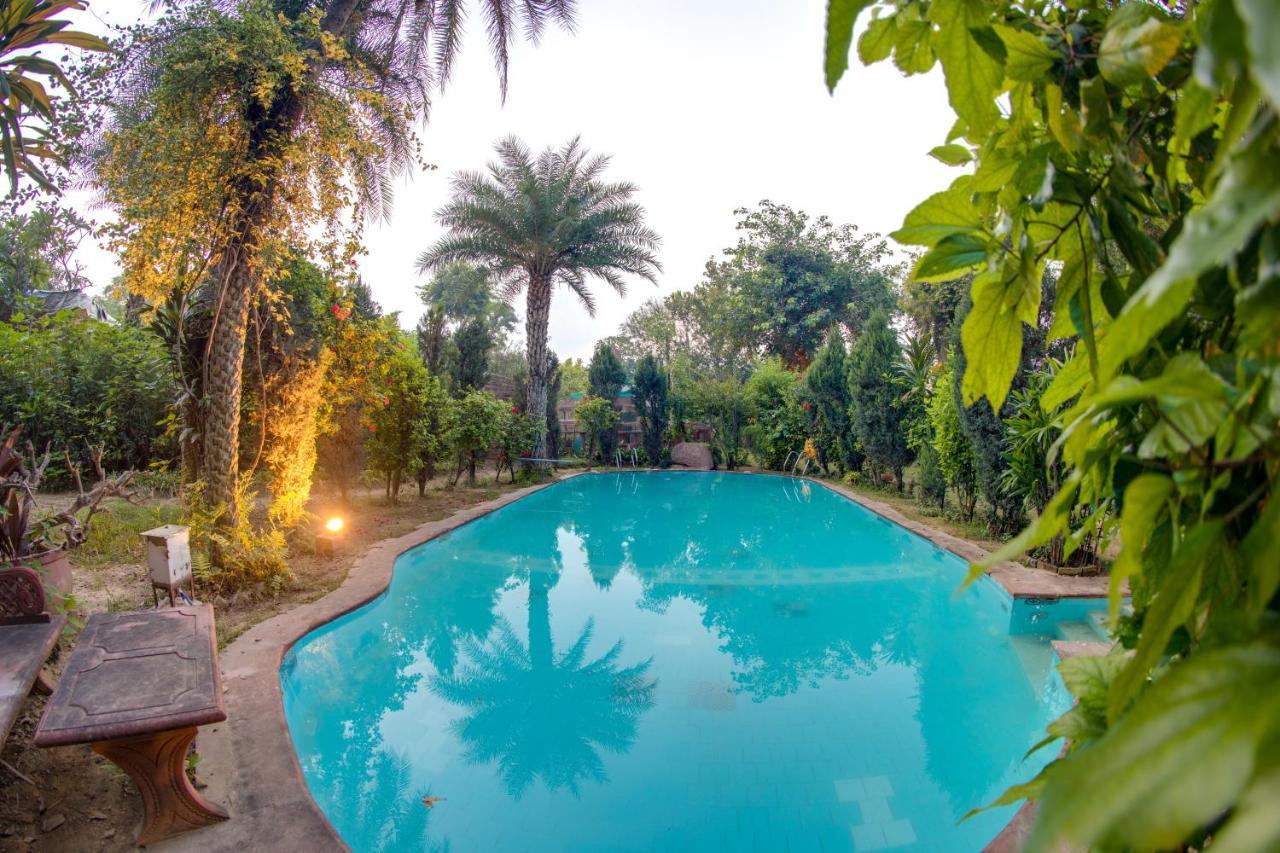 Hostie Chinar Haveli - Heritage With Pool,