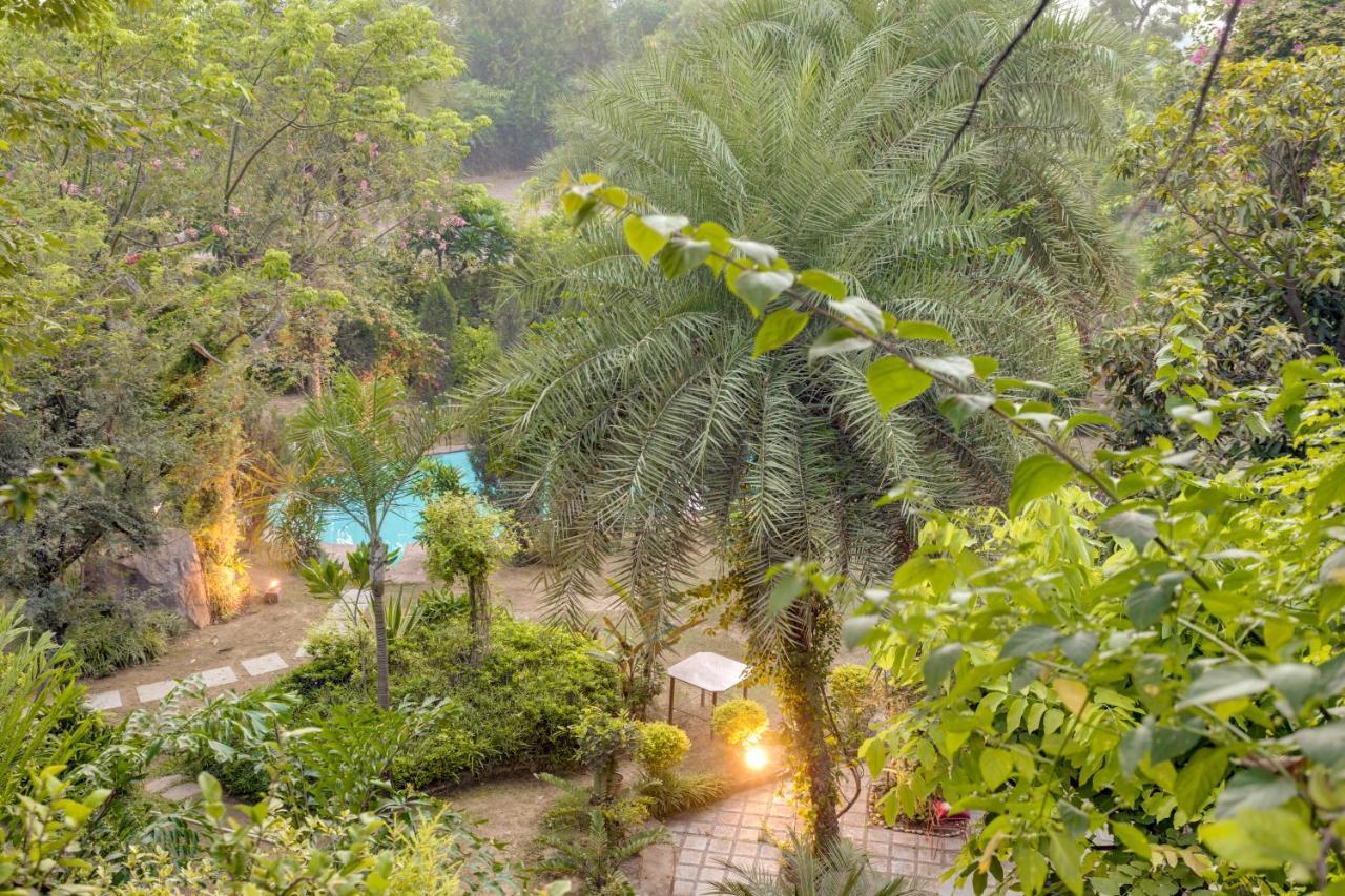 Villa Hostie Chinar Haveli - Heritage With Pool, *
