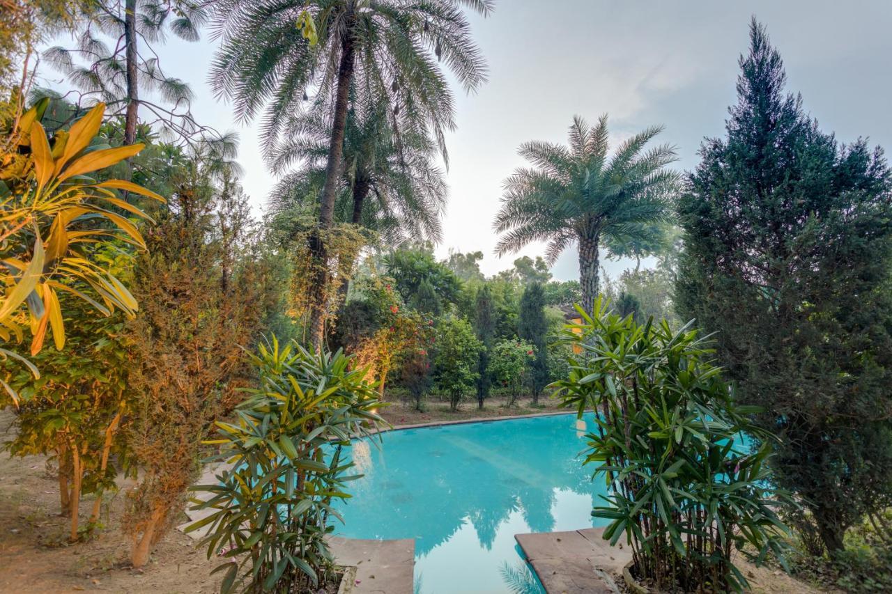 Villa Hostie Chinar Haveli - Heritage With Pool, Gurgaon