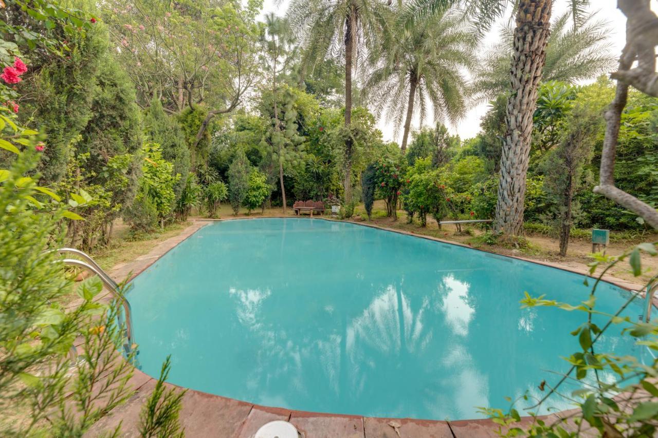 Villa Hostie Chinar Haveli - Heritage With Pool,