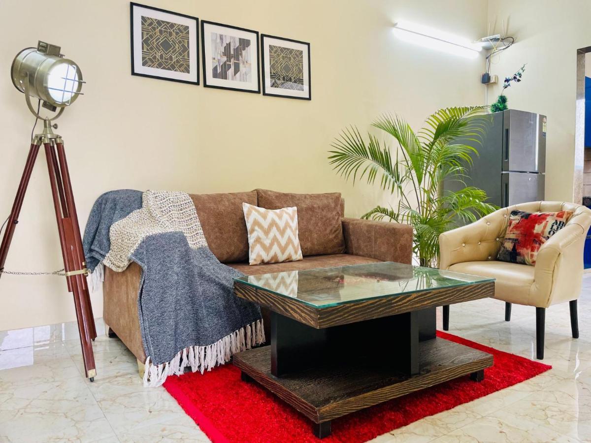Olive Service - Artemis Apartment
