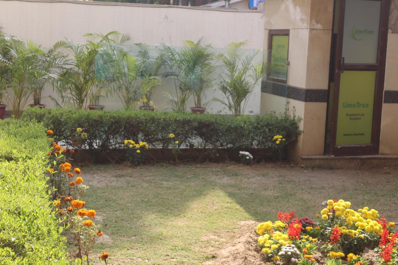 Hotel Lime Tree Sushant Lok Sector 29 Next To Iffco Chowk Metro 3*