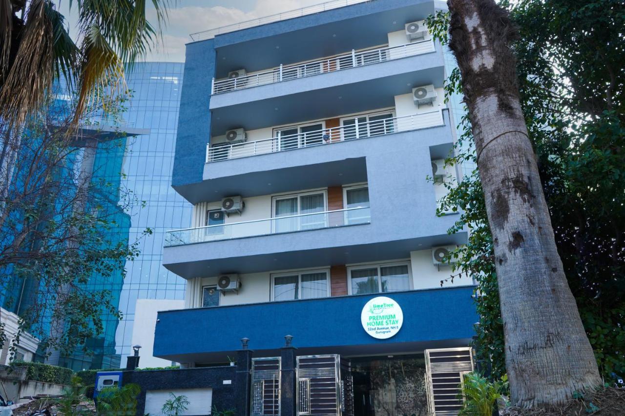 Lime Tree Hotel 32Nd Avenue Nh-8 Gurgaon Near Sector 29- Fully Vaccinated Staff Hotel 3*