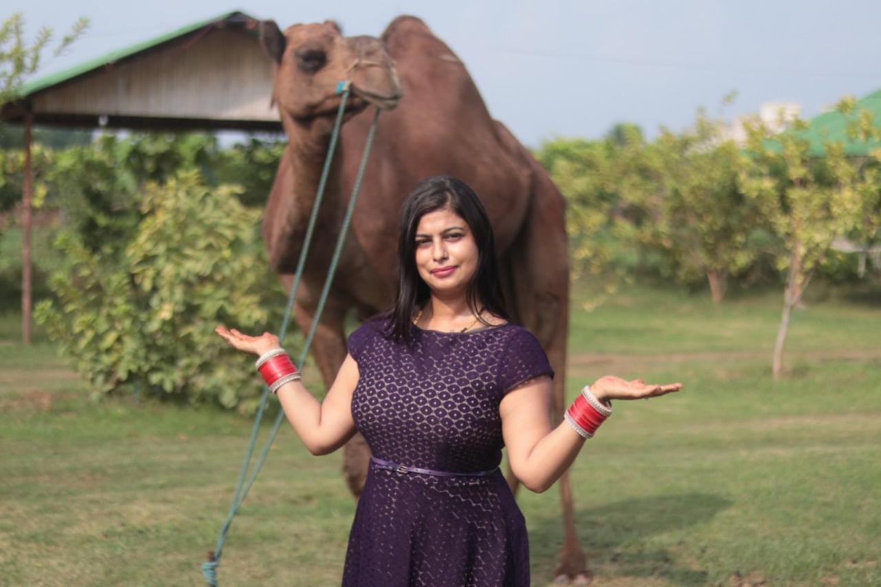 Madhavgarh Farm & Farm stay Gurgaon