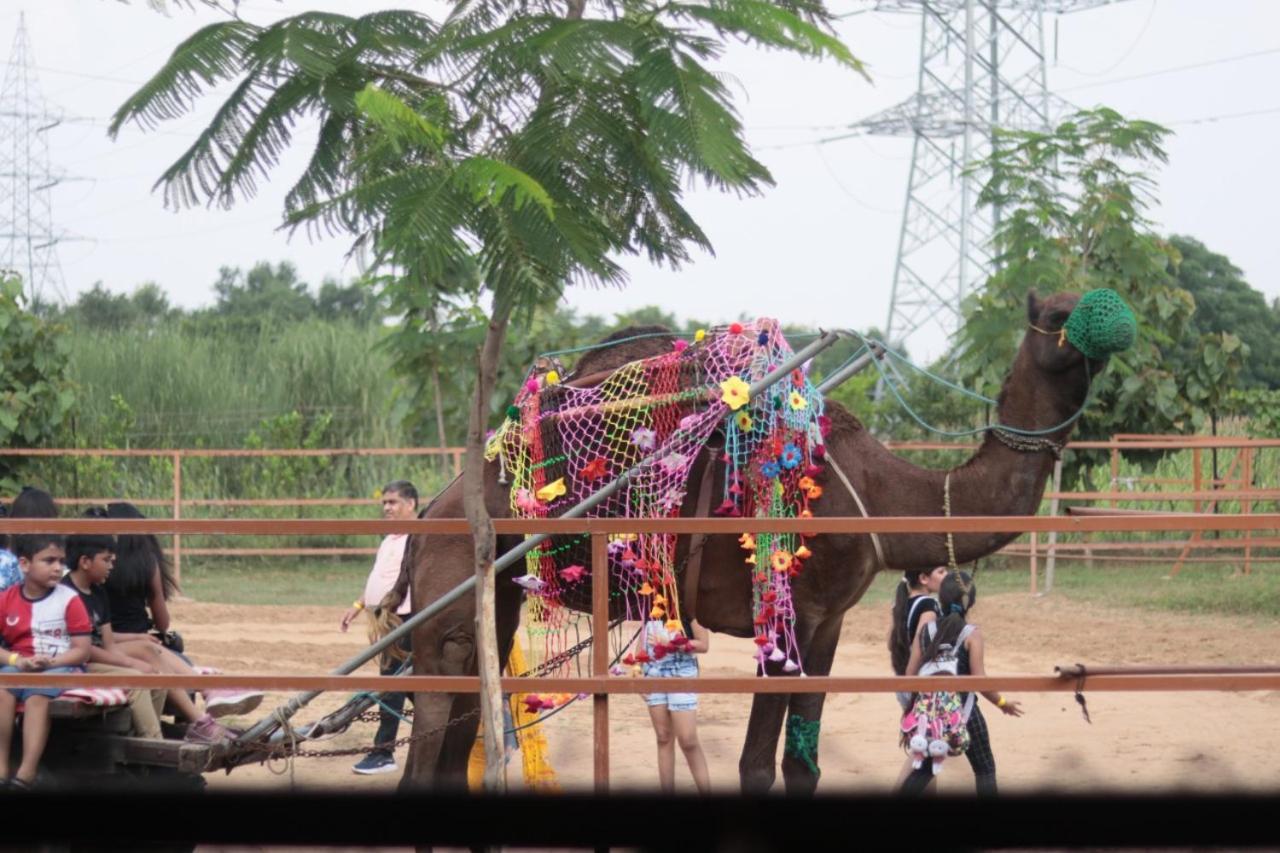 Madhavgarh Farm & *
