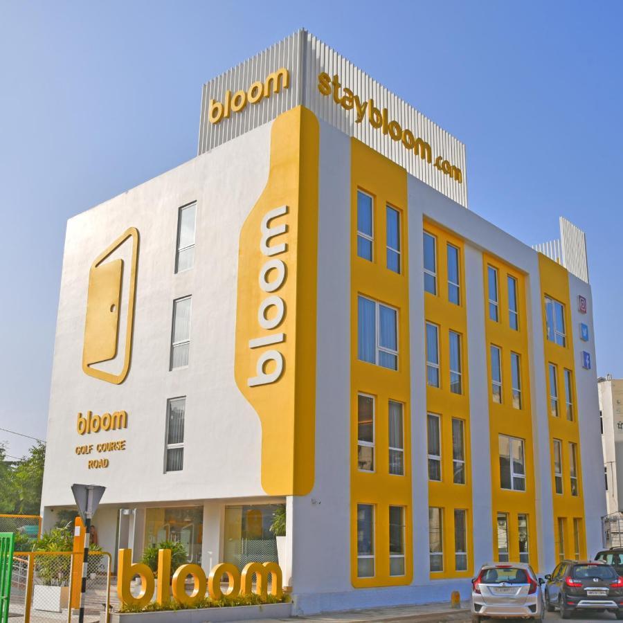 Bloom - Golf Course Road 3*